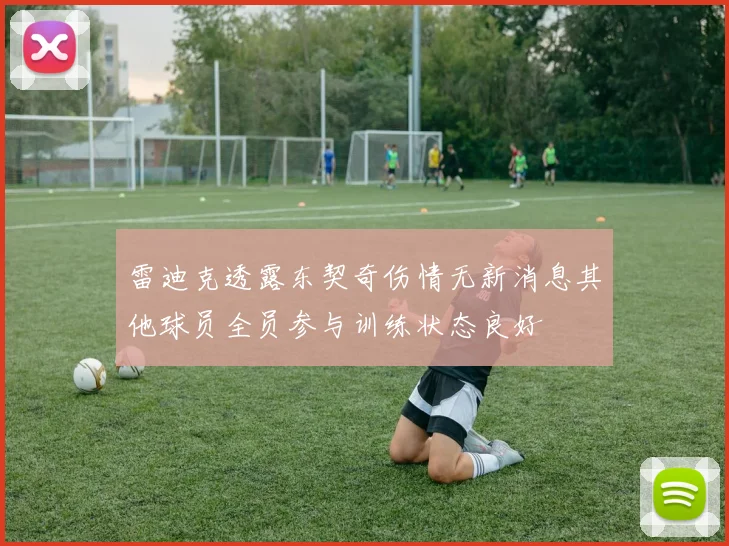 雷迪克透露东契奇伤情无新消息其他球员全员参与训练状态良好