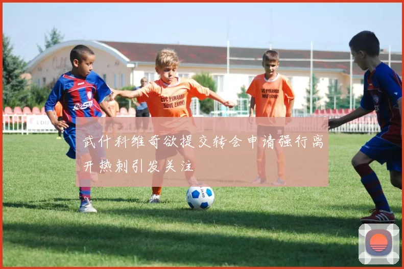 武什科维奇欲提交转会申请强行离开热刺引发关注